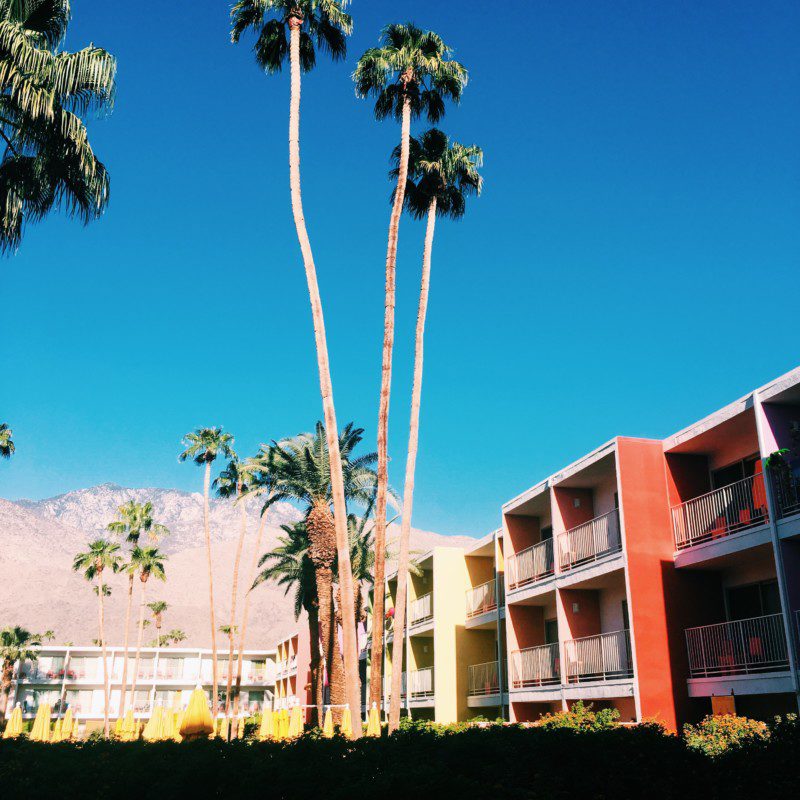 California Love: How to Visit Palm Springs Like a Boss